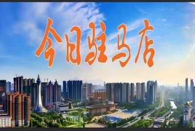 駐馬店小麥開鐮收割 |《今日駐馬店》資訊第127期